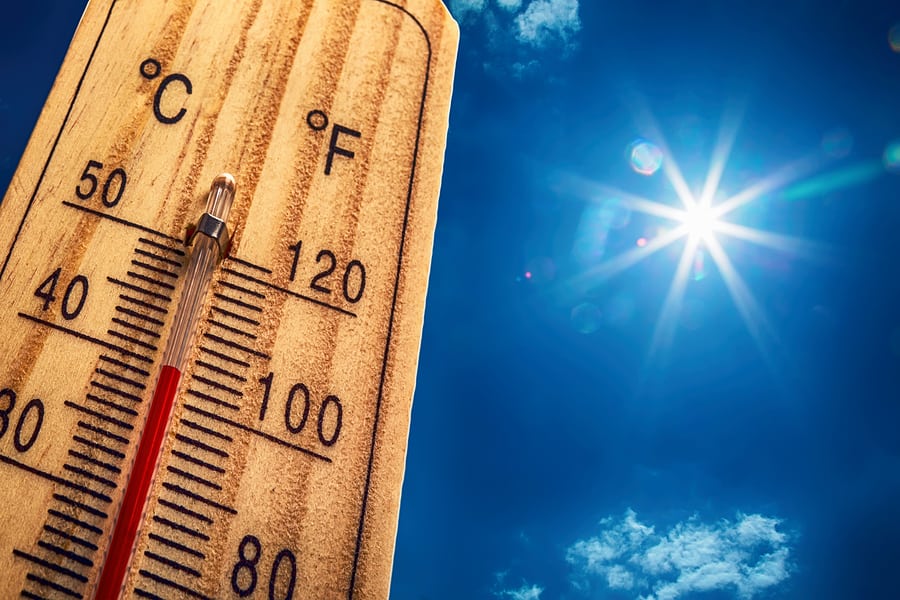 Survive the Summer Heat